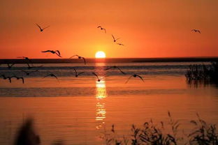 漫步在夕阳之丘，感受大自然的魅力和宁静，心灵深处的思考和回荡